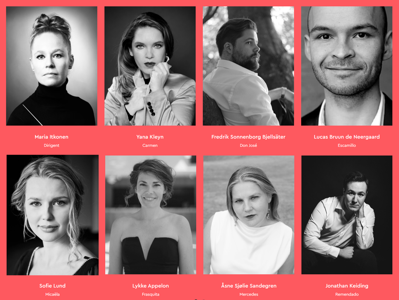Cast i Vejle